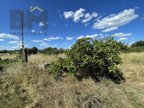 Quintinha  Venda em Escalos de Cima e Lousa,Castelo Branco