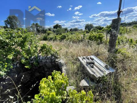 Quintinha  Venda em Escalos de Cima e Lousa,Castelo Branco