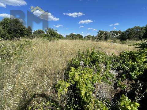 Quintinha  Venda em Escalos de Cima e Lousa,Castelo Branco