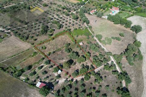 Quintinha  Venda em Escalos de Cima e Lousa,Castelo Branco