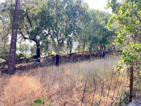 Quintinha  Venda em Alcains,Castelo Branco