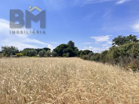 Quintinha  Venda em Alcains,Castelo Branco