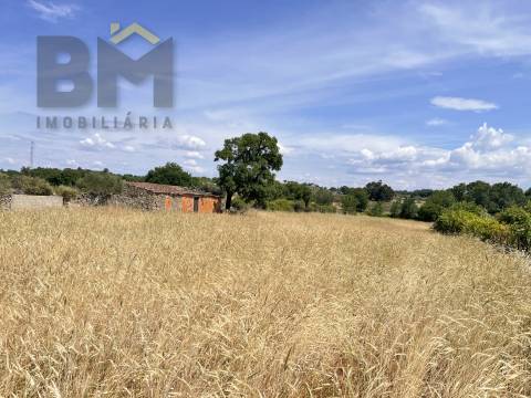 Quintinha  Venda em Alcains,Castelo Branco