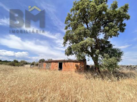 Quintinha  Venda em Alcains,Castelo Branco