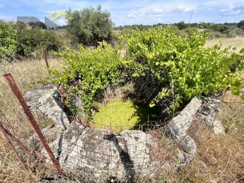 Quintinha  Venda em Alcains,Castelo Branco