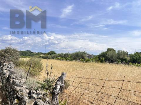 Quintinha  Venda em Alcains,Castelo Branco