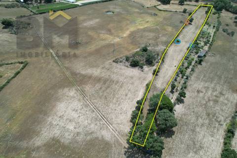 Quintinha  Venda em Alcains,Castelo Branco