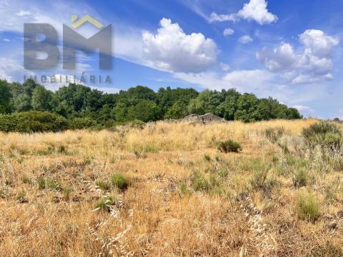 Quintinha  Venda em Alcains,Castelo Branco