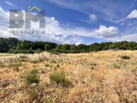 Quintinha  Venda em Alcains,Castelo Branco