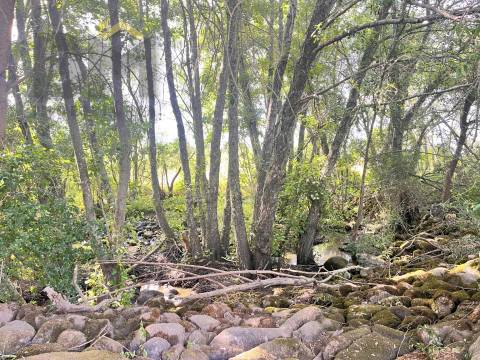 Quintinha  Venda em Alcains,Castelo Branco