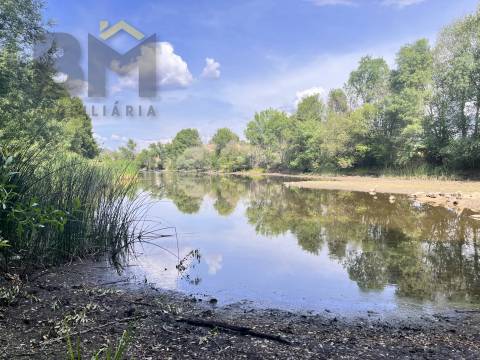 Quintinha  Venda em Alcains,Castelo Branco