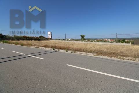 Terreno Para Construção  Venda em Castelo Branco,Castelo Branco