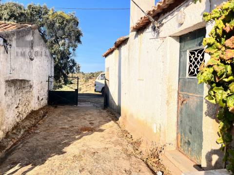 Quinta  Venda em Escalos de Baixo e Mata,Castelo Branco
