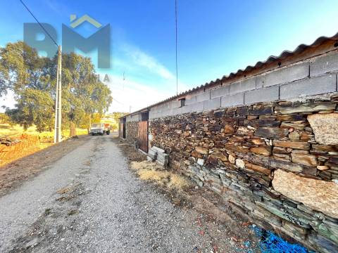 Quinta  Venda em Escalos de Baixo e Mata,Castelo Branco