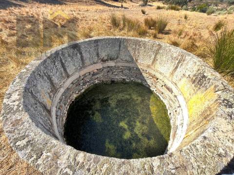 Quinta  Venda em Escalos de Baixo e Mata,Castelo Branco