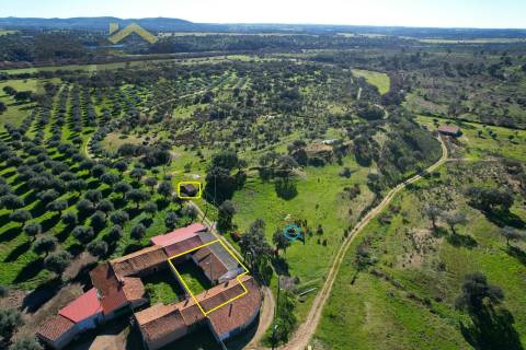 Quinta  Venda em Escalos de Baixo e Mata,Castelo Branco