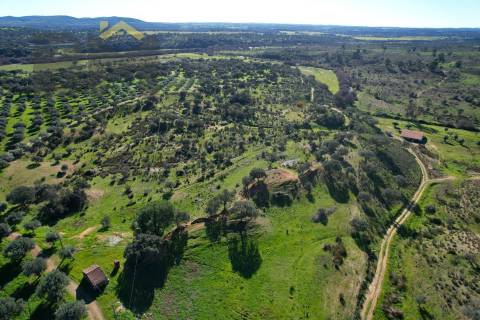Quinta  Venda em Escalos de Baixo e Mata,Castelo Branco