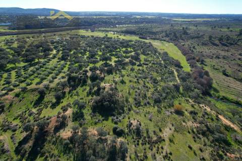Quinta  Venda em Escalos de Baixo e Mata,Castelo Branco