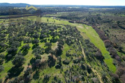 Quinta  Venda em Escalos de Baixo e Mata,Castelo Branco