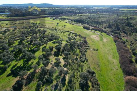 Quinta  Venda em Escalos de Baixo e Mata,Castelo Branco