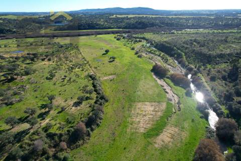 Quinta  Venda em Escalos de Baixo e Mata,Castelo Branco