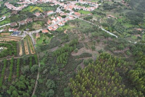 Terreno Rústico  Venda em Fratel,Vila Velha de Rodão