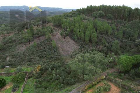 Terreno Rústico  Venda em Fratel,Vila Velha de Rodão