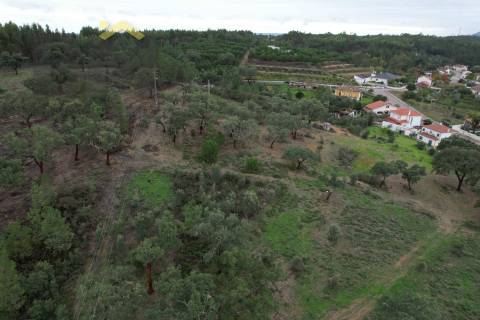 Terreno Rústico  Venda em Fratel,Vila Velha de Rodão