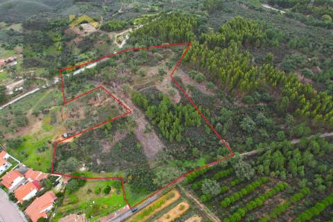 Terreno Rústico  Venda em Fratel,Vila Velha de Rodão