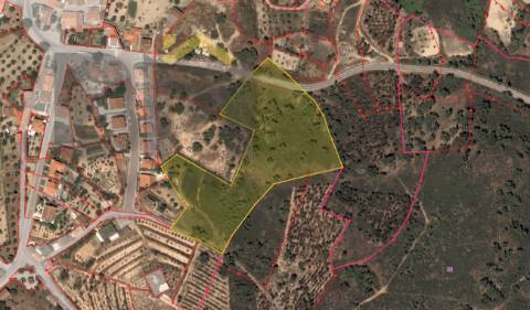 Terreno Rústico  Venda em Fratel,Vila Velha de Rodão