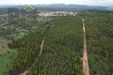 Terreno Rústico  Venda em Fratel,Vila Velha de Rodão