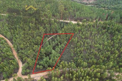 Terreno Rústico  Venda em Fratel,Vila Velha de Rodão