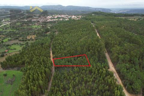 Terreno Rústico  Venda em Fratel,Vila Velha de Rodão