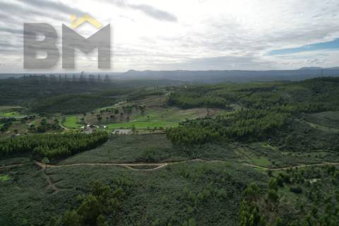Terreno Rústico  Venda em Fratel,Vila Velha de Rodão