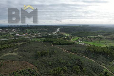 Terreno Rústico  Venda em Fratel,Vila Velha de Rodão