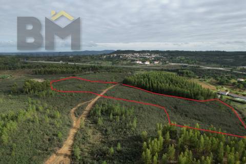 Terreno Rústico  Venda em Fratel,Vila Velha de Rodão