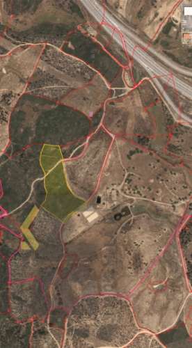 Terreno Rústico  Venda em Fratel,Vila Velha de Rodão