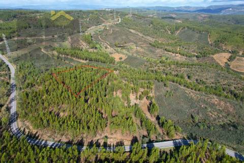 Terreno Rústico  Venda em Fratel,Vila Velha de Rodão