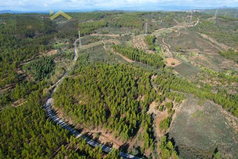 Terreno Rústico  Venda em Fratel,Vila Velha de Rodão