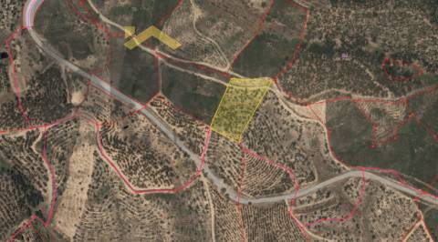 Terreno Rústico  Venda em Fratel,Vila Velha de Rodão