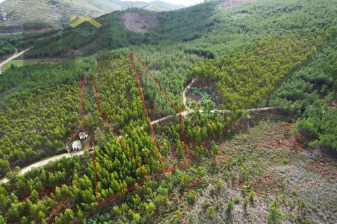 Terreno Rústico  Venda em Vila Velha de Ródão,Vila Velha de Rodão