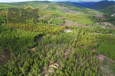 Terreno Rústico  Venda em Vila Velha de Ródão,Vila Velha de Rodão