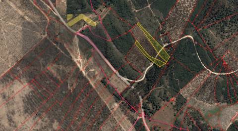 Terreno Rústico  Venda em Vila Velha de Ródão,Vila Velha de Rodão