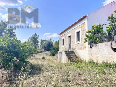 Quinta T3 Venda em Santo André das Tojeiras,Castelo Branco