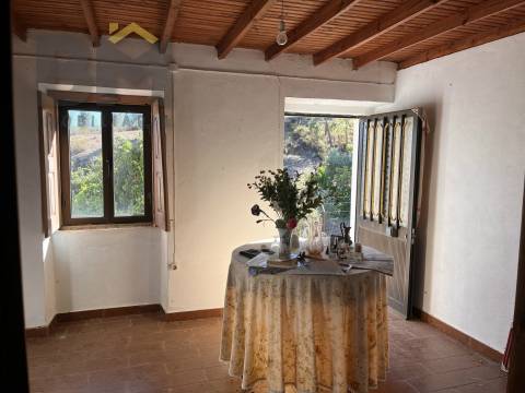 Quinta T3 Venda em Santo André das Tojeiras,Castelo Branco