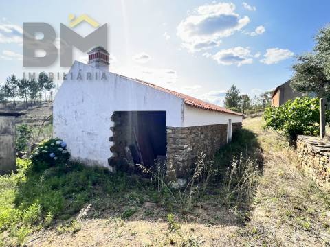 Quinta T3 Venda em Santo André das Tojeiras,Castelo Branco