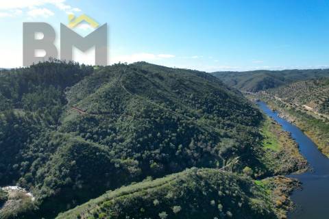 Terreno Rústico  Venda em Arez e Amieira do Tejo,Nisa