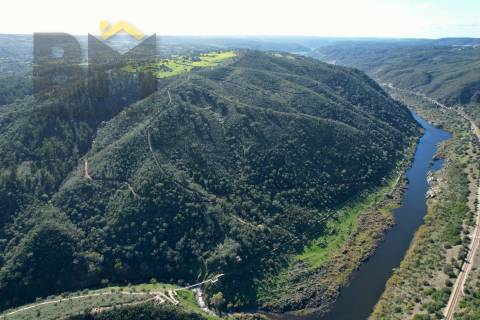 Terreno Rústico  Venda em Arez e Amieira do Tejo,Nisa