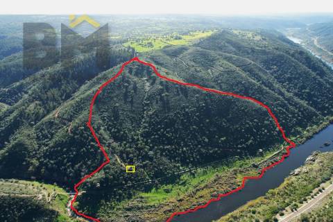 Terreno Rústico  Venda em Arez e Amieira do Tejo,Nisa