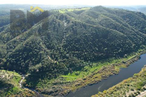 Terreno Rústico  Venda em Arez e Amieira do Tejo,Nisa